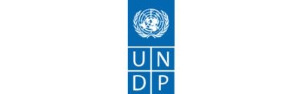 UNDP Armenia, Disaster Risk Reduction Programme Coordinator